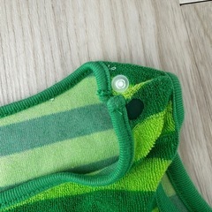 はらぺこあおむしコスチュームの画像