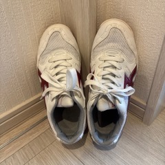 体育館シューズ  23.5cmの画像