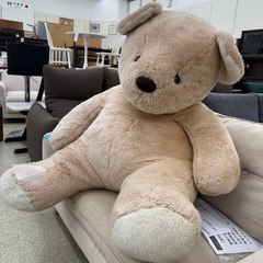 リユースのサカイ東金店　クマ　ぬいぐるみ　　TJ19298の画像