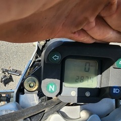 SACHS 125cc
の画像