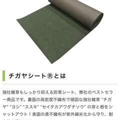 防草シート
の画像