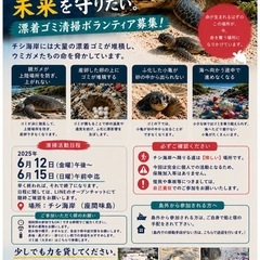 ウミガメの命を守るチシ海岸清掃活動参加者募集🌊