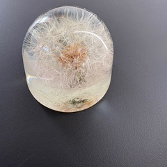 ハンドメイド　たんぽぽの綿毛の置物(ペーパーウェイト)の画像