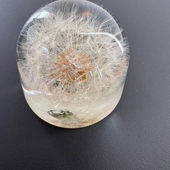 ハンドメイド　たんぽぽの綿毛の置物(ペーパーウェイト)の画像