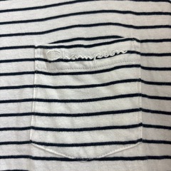 チャンピオン ボーダーTシャツ Mサイズの画像