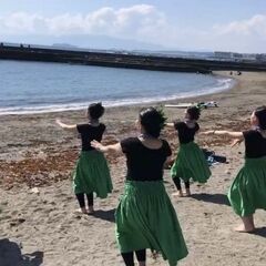 逗子・葉山のフラ教室　自然に触れるフラ　KaPāHulaʻOWailaniの画像