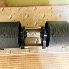 NUO 32kg ４キロ刻み可変式ダンベル・ダンベルラック・インクラインベンチの画像