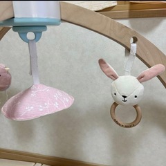 【美品！】aden + anais アクティビティジムの画像