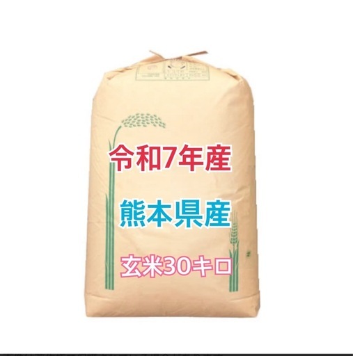 熊本県産・お米30kg・令和7年産