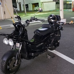 HONDA PS250 本体の画像