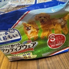 犬用オムツとシートの画像