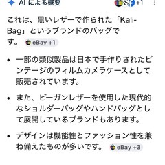 レザーバッグ(Kali-bag)の画像