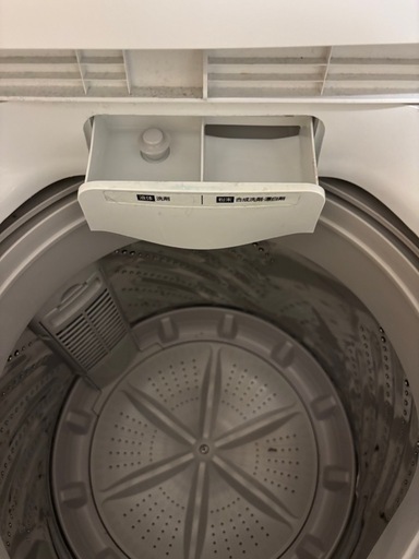 アイリスオーヤマ 洗濯機 IAW-T451 4.5kg