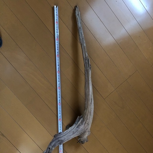 アクアリウム　流木　85cm
