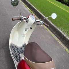配達可能〜🛵　スクーピー　原付　スクーター　バイク　車体の画像