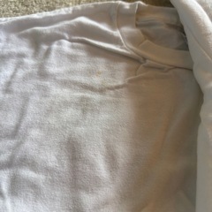 半袖Tシャツの画像