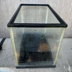 ⚠️内容変更あり⚠️水槽②の画像