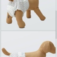 犬 超小型犬 おむつ(オムツ)の画像