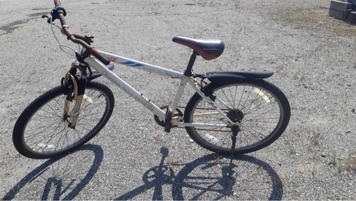 ⭐️コカコーラ⭐️自転車アテネオリンピック2004 (K小次郎) 甘木の