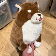大型犬のぬいぐるみの画像