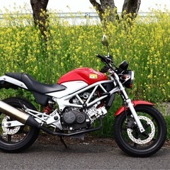 VTR250    FIの画像