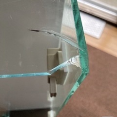 決まりました❗️アクリルコレクションケースの画像