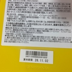 USJ ニンテンドーワールド グッズ 2点セットの画像