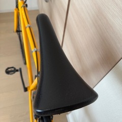 FUJI FEATHER 560mm Yellowの画像