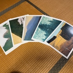 サムネイル