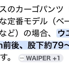 アビレックスのカーゴパンツLサイズ ベルト付き
の画像