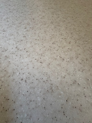 キッチンカウンター(アルミナ2 120CT SI)