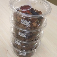 ヒラタクワガタ(紀ノ川産)ペアですの画像