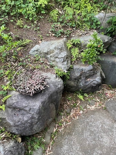 石4個