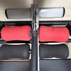 逆さぶら下がり健康器　BODY RAJAの画像
