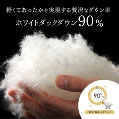 羽毛布団　掛け布団　ホワイト　ダブル　ダブルダック90%　の画像