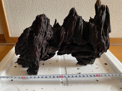 流木5個セット
