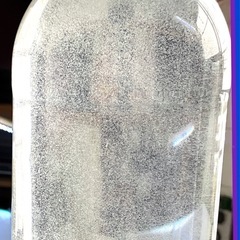 〈爆〉増え‼︎ゾウリムシ【９００ml 】メダカ飼育＊このゾウリムシで育ててみてください。針子ぐんぐん！の画像
