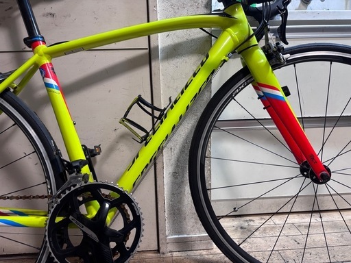 SPECIALIZED（スペシャライズド）の「ALLEZ DSW SL COMP（アレースプリント／アレー DSW SL コンプ）」