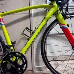 SPECIALIZED（スペシャライズド）の「ALLEZ DSW SL COMP（アレースプリント／アレー DSW SL コンプ）」の画像