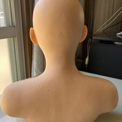 フェイシャル練習用デコルテ土台の画像