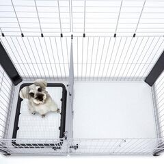 【無料でお譲りします】大きめのドッグ_サークルです。元気な小型犬に最適！の画像