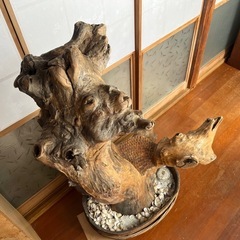 花台　と言うには大きすぎるの画像