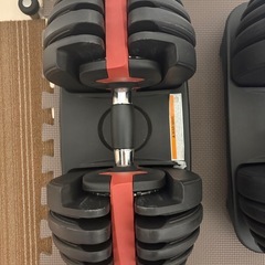 可変式ダンベル　　24kg2個セットの画像