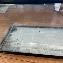 水槽大の画像