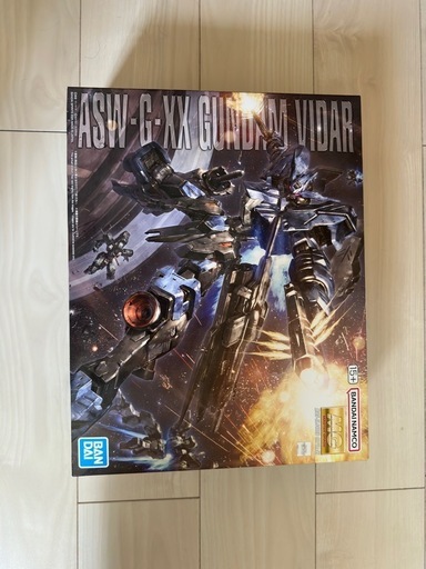 MG 1/100 ASW-G-XX ガンダムヴィダール