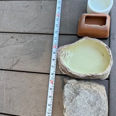 爬虫類シェルター　水入れの画像