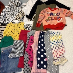 おそらく80〜90サイズの画像
