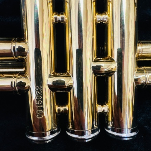 【美品・生産終了品】Maxtone トランペット 教本 お手入れ ハードケース セット付