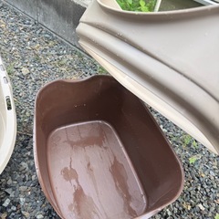 猫トイレの画像