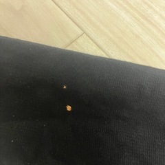 ZARA セーターの画像